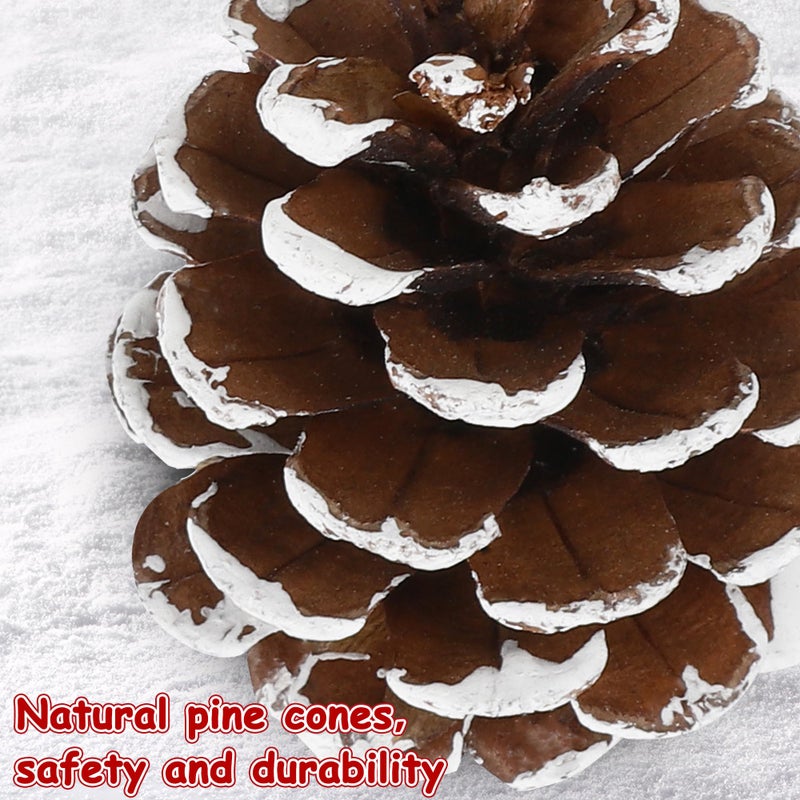 Helimoto 24 PCS Natural Pine Cones, 1.96 in Pinecone Ornaments, Pine Cones for Crafts with Sliver String, Decorative DIY Pine Cones for Christmas Tree Christmas Table Decorations, Winter Decor Vase Filler - Image 4